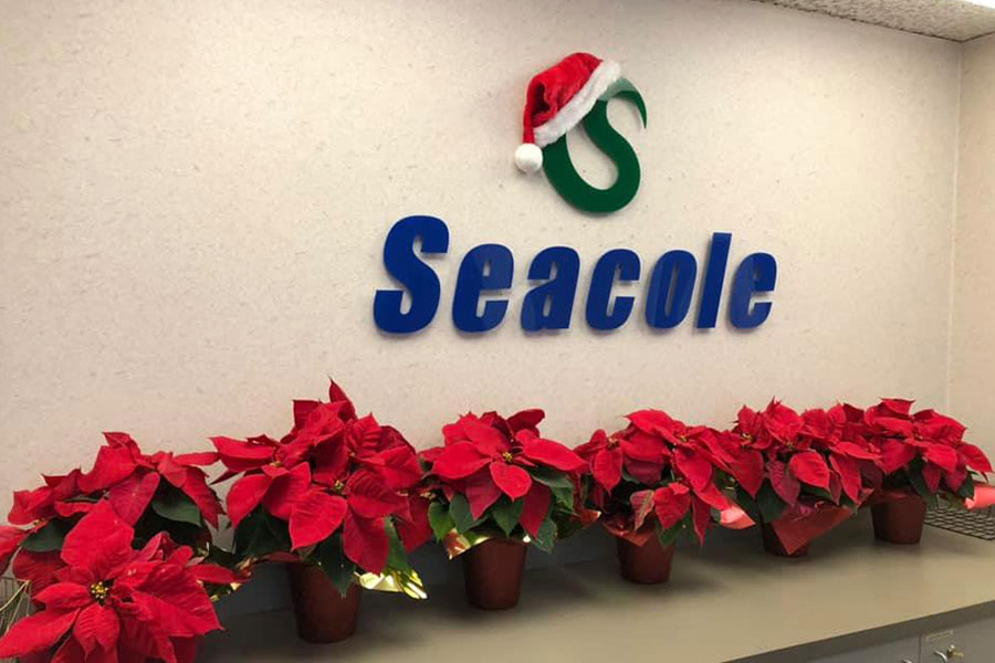 Seacole History Holiday Spirit